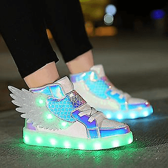 Fairy Shoes